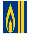 sapkonzultant_PPAS_logo.gif